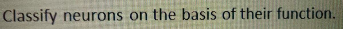 Classify neurons on the basis of their function.
