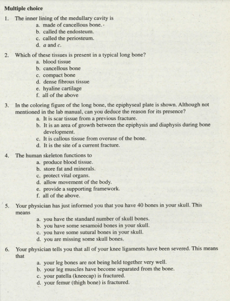 Multiple choice
1. The inner lining of the medullary cavity is
a. made of cancellous bone.
b. called the endosteum.
c. called the periosteum.
d. a and c.
2. Which of these tissues is present in a typical long bone?
a. blood tissue
b. cancellous bone
c. compact bone
d. dense fibrous tissue
e. hyaline cartilage
f. all of the above
In the coloring figure of the long bone, the epiphyseal plate is shown. Although not
mentioned in the lab manual, can you deduce the reason for its presence?
3.
a. It is scar tissue from a previous fracture.
b. It is an area of growth between the epiphysis and diaphysis during bone
development.
c. It is callous tissue from overuse of the bone.
d. It is the site of a current fracture.
4. The human skeleton functions to
a. produce blood tissue.
b. store fat and minerals.
c. protect vital organs.
d. allow movement of the body.
e. provide a supporting framework.
f. all of the above.
5.
Your physician has just informed you that you have 40 bones in your skull. This
means
a. you have the standard number of skull bones.
b. you have some sesamoid bones in your skull.
c. you have some sutural bones in your skull.
d. you are missing some skull bones.
6. Your physician tells you that all of your knee ligaments have been severed. This means
that
a. your leg bones are not being held together very well.
b. your leg muscles have become separated from the bone.
c. your patella (kneecap) is fractured.
d. your femur (thigh bone) is fractured.
