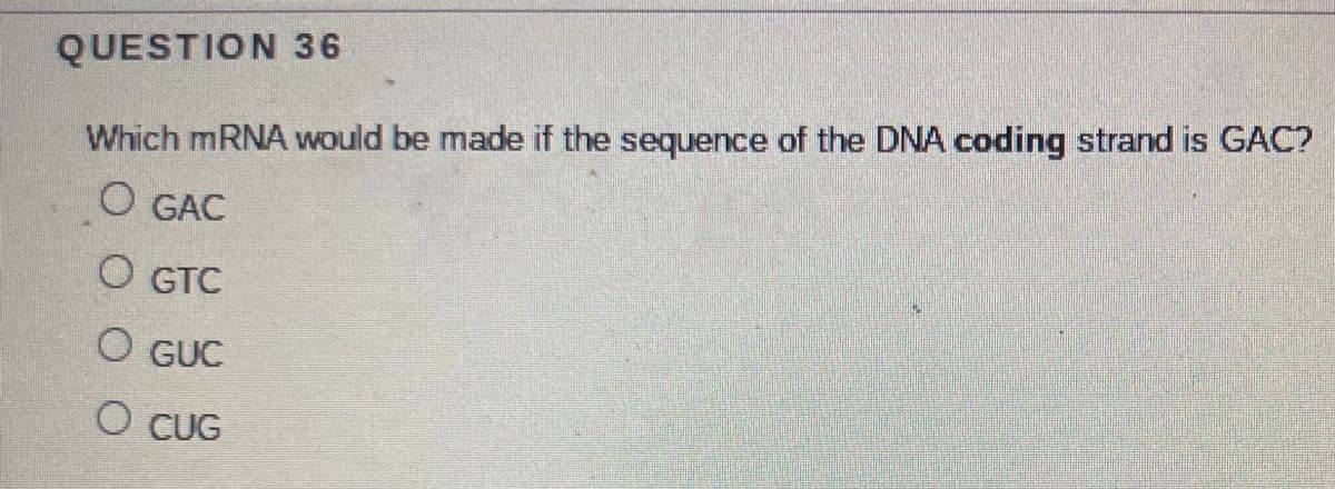 QUESTION 36
Which MRNA would be made if the sequence of the DNA coding strand is GAC?
O GAC
GTC
O GTC
O GUC
O CUG
