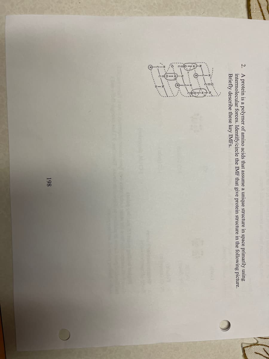 2. A protein is a polymer of amino acids that assume a unique structure in space primarily using
intermolecular forces. Identify/circle the IMF that give protein structure in the following picture.
Briefly describe these key IMFs.
198