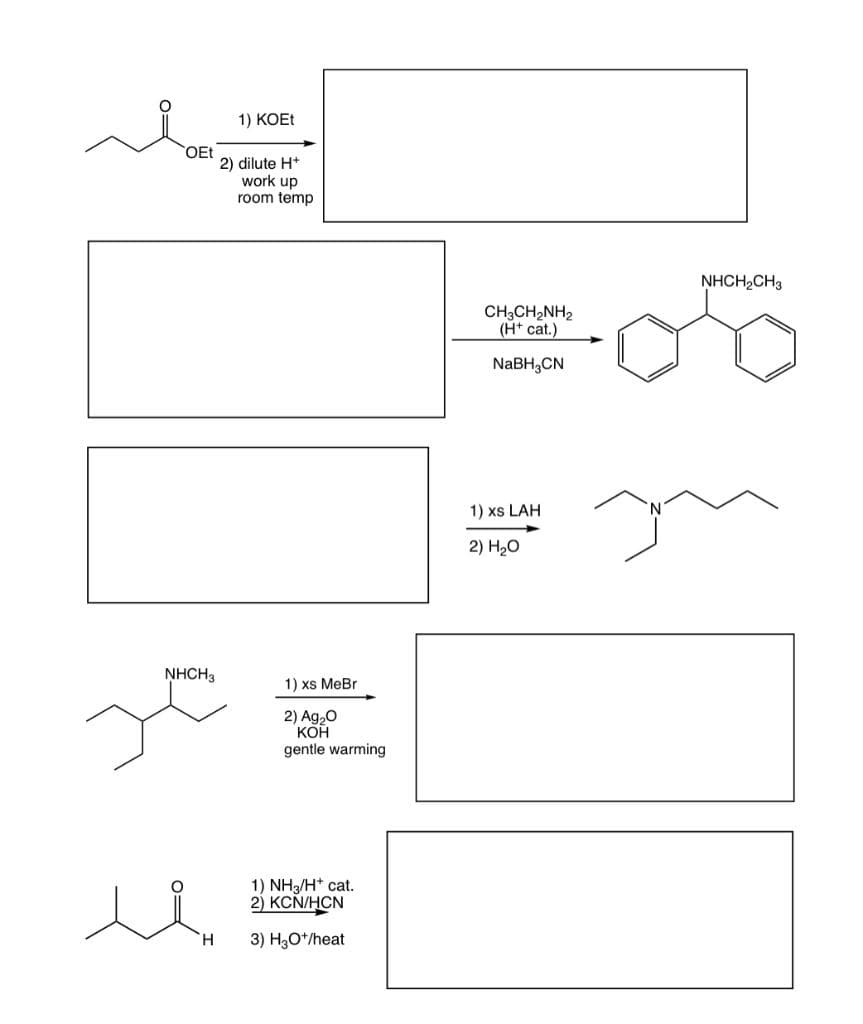 1) KOET
OEt
2) dilute H+
work up
room temp
NHCH2CH3
CH3CH,NH2
(H* cat.)
NaBH,CN
1) xs LAH
2) H20
NHCH3
1) xs MeBr
2) Ag,0
КОН
gentle warming
1) NH3/H* cat.
2) KCŇ/HCN
H.
3) H3O*/heat
