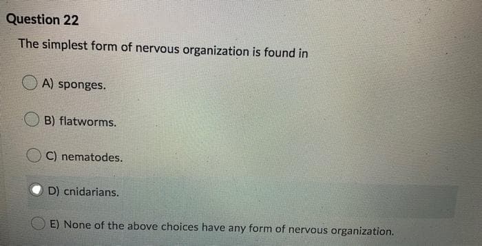 Question 22
The simplest form of nervous organization is found in
A) sponges.
B) flatworms.
C) nematodes.
D) cnidarians.
E) None of the above choices have any form of nervous organization.
