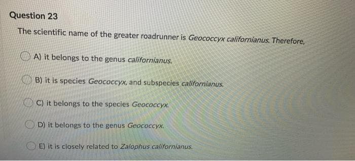 Question 23
The scientific name of the greater roadrunner is Geococcyx californianus. Therefore,
A) it belongs to the genus californianus.
B) it is species Geococcyx, and subspecies californianus.
O C) it belongs to the species Geococcyx.
D) it belongs to the genus Geococcyx.
E) it is closely related to Zalophus californianus.
