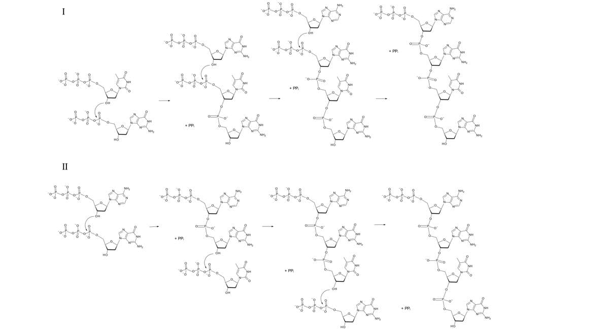 NH2
NH,
I
он
NH
+ PP
NH
NH
NH,
NF
NH,
NH2
он
NH
NH
NH
NH
+ PP
O.
OH
NH
+ PP
NH
NH
NH
NH,
NH,
NH2
NH2
но
но
но
но
II
NH,
NH2
NH,
NH2
'N
NF
NF
NH
NH
NH
NH
+ PP
NH2
NH2
NH2
NH2
он
но
NH
NH
+ PP
NH
OH
он
NH
+ PP
NH
NH2
NH2
но
но
