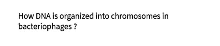 How DNA is organized into chromosomes in
bacteriophages ?
