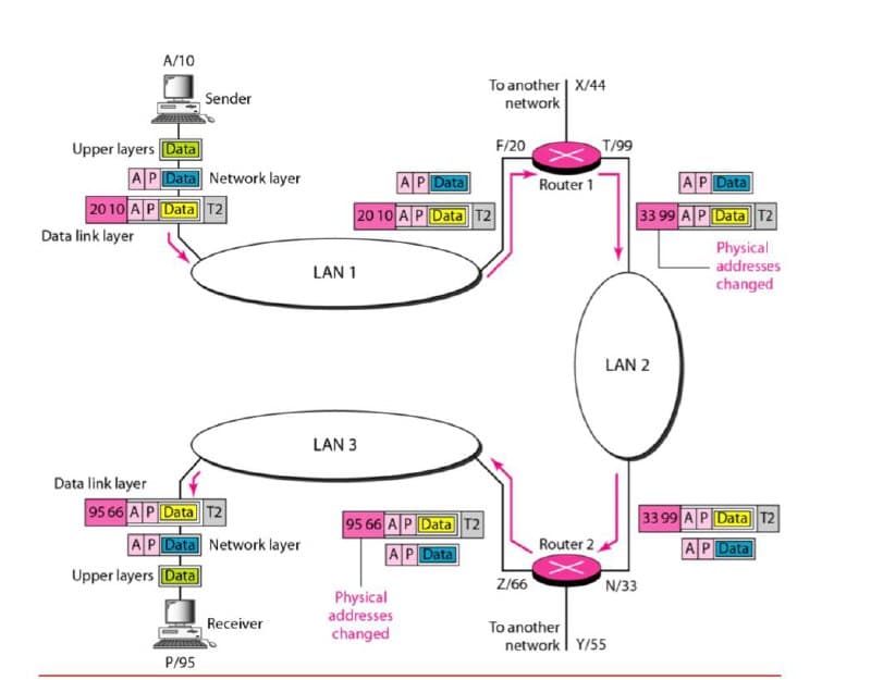 A/10
To another | X/44
network
Sender
Upper layers Data
AP Data Network layer
20 10 AP Data T2
F/20
T/99
AP Data
Router 1
AP Data
20 10 A P Data T2
33 99 AP Data T2
Data link layer
Physical
- addresses
changed
LAN 1
LAN 2
LAN 3
Data link layer
95 66 A P Data T2
95 66 A P Data T2
33 99 AP Data T2
AP Data Network layer
Upper layers Data
AP Data
Router 2
AP Data
Z/66
N/33
Physical
addresses
changed
Receiver
To another
network I Y/55
P/95
