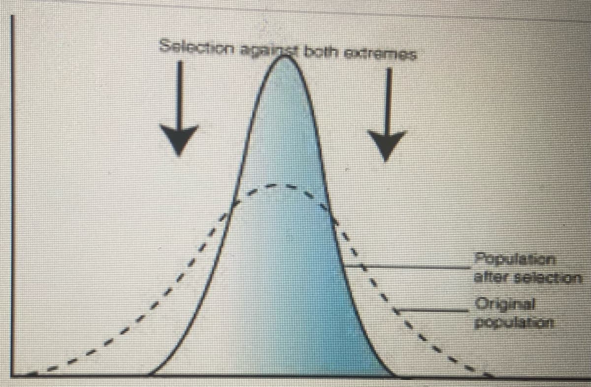 Selection against both extremes
Population
after selection
Original
population