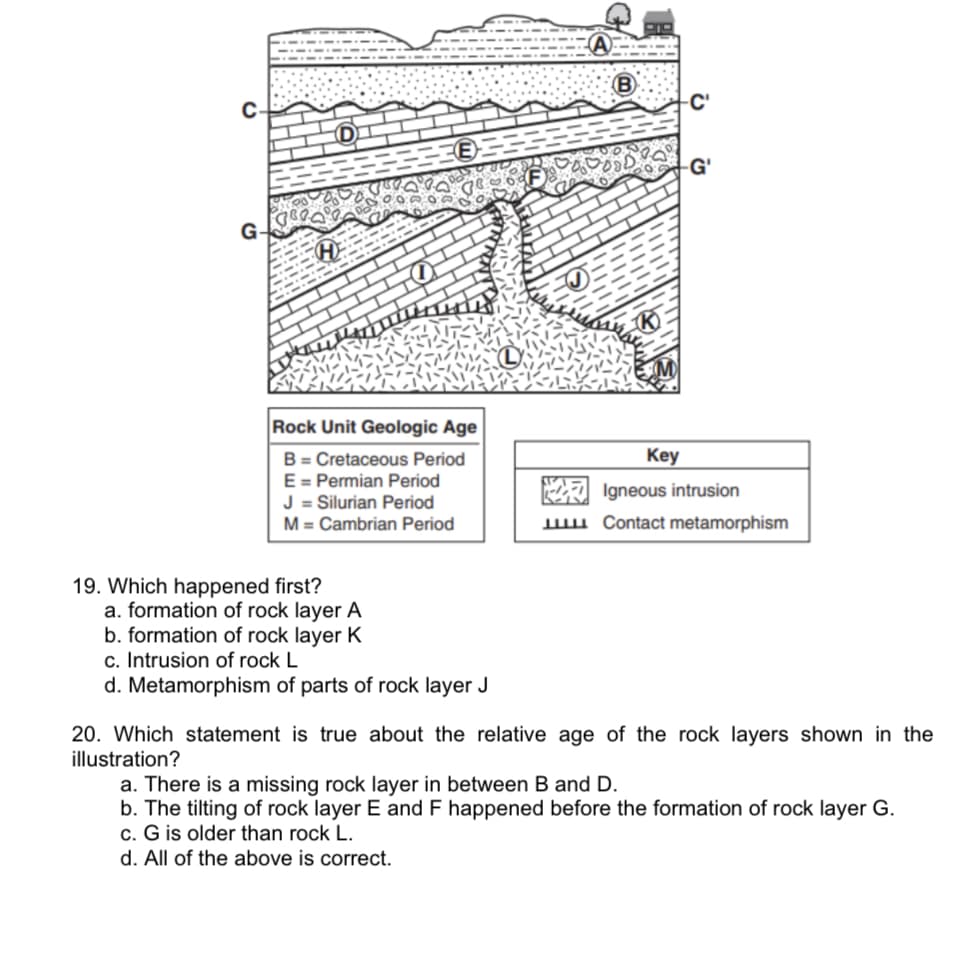 C-
-C'
-G'
G-
Rock Unit Geologic Age
B = Cretaceous Period
E = Permian Period
J = Silurian Period
M = Cambrian Period
Key
A Igneous intrusion
ww Contact metamorphism
19. Which happened first?
a. formation of rock layer A
b. formation of rock layer K
c. Intrusion of rock L
d. Metamorphism of parts of rock layer J
20. Which statement is true about the relative age of the rock layers shown in the
illustration?
a. There is a missing rock layer in between B and D.
b. The tilting of rock layer E and F happened before the formation of rock layer G.
c. G is older than rock L.
d. All of the above is correct.
