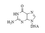 HN
H;N
DNA
