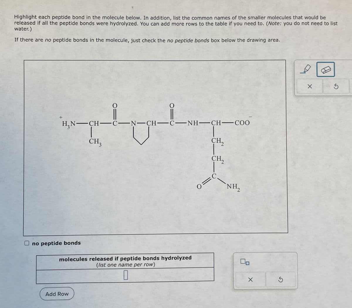 Highlight each peptide bond in the molecule below. In addition, list the common names of the smaller molecules that would be
released if all the peptide bonds were hydrolyzed. You can add more rows to the table if you need to. (Note: you do not need to list
water.)
If there are no peptide bonds in the molecule, just check the no peptide bonds box below the drawing area.
+
H₂N-CH-
CH3
-N- -CH- C−NH–CH–COO
Ono peptide bonds
molecules released if peptide bonds hydrolyzed
(list one name per row)
☐
Add Row
O
CH2
CH2
NH2
G
S