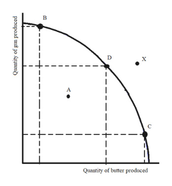 B
D
х
A
Quantity of butter produced
Quantity of gun produced
