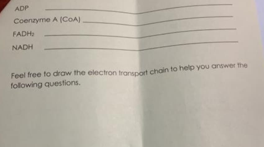 ADP
Coenzyme A (COA).
FADH2
NADH
Feel free to draw the electron transport chain to help you answer the
following questions.
