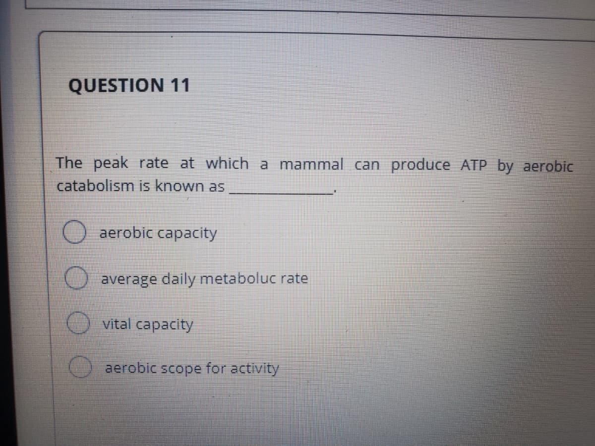 QUESTION 11
The peak rate at which a mammal can produce ATP by aerobic
catabolism is known as
aerobic capacity
average daily metaboluc rate
vital capacity
aerobic scope for activity
