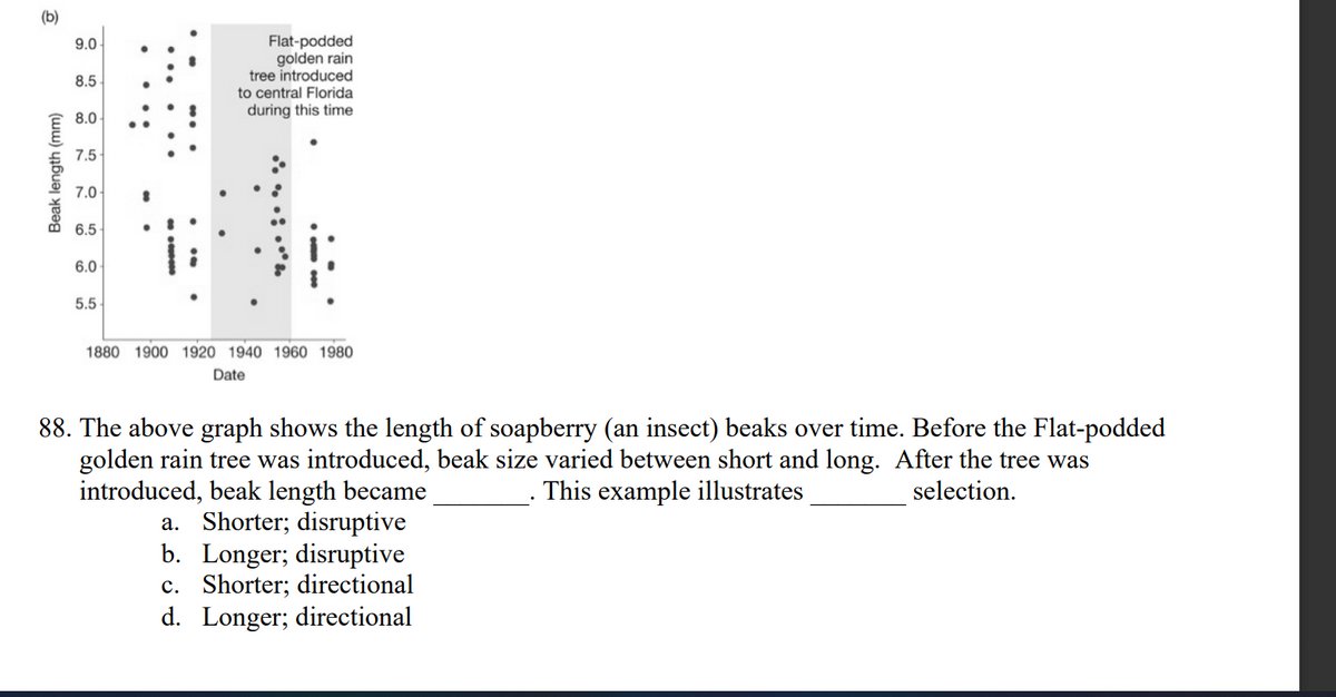 (b)
Flat-podded
golden rain
tree introduced
to central Florida
9.0
8.5
during this time
8.0
7.5
7.0
6.5
6.0
5.5
1880 1900 1920 1940 1960 1980
Date
88. The above graph shows the length of soapberry (an insect) beaks over time. Before the Flat-podded
golden rain tree was introduced, beak size varied between short and long. After the tree was
introduced, beak length became
a. Shorter; disruptive
b. Longer; disruptive
c. Shorter; directional
d. Longer; directional
This example illustrates
selection.
Beak length (mm)
