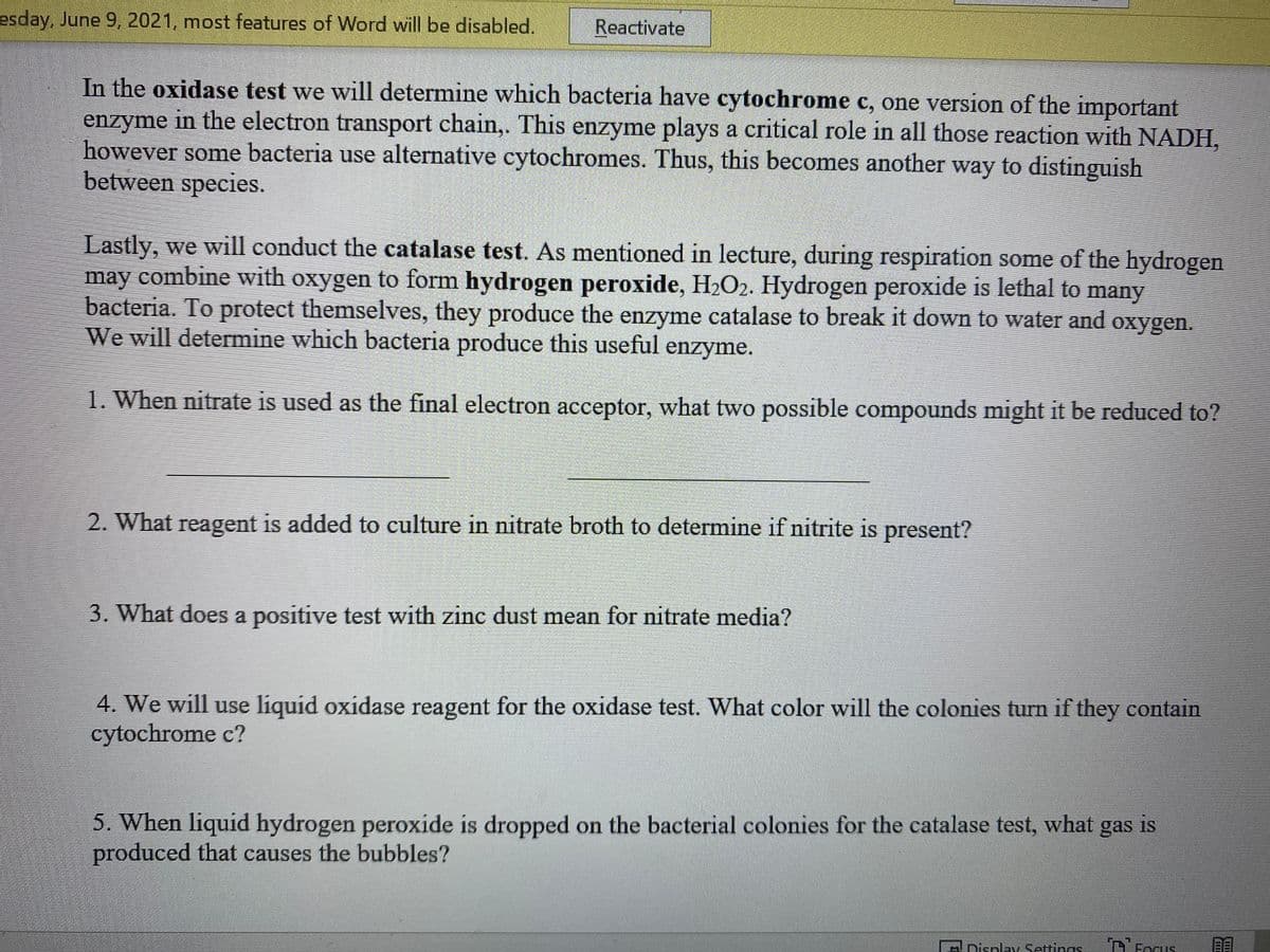 esday, June 9, 2021, most features of Word will be disabled.
Reactivate
In the oxidase test we will determine which bacteria have cytochrome c, one version of the important
enzyme in the electron transport chain,. This enzyme plays a critical role in all those reaction with NADH,
however some bacteria use alternative cytochromes. Thus, this becomes another way to distinguish
between species.
Lastly, we will conduct the catalase test. As mentioned in lecture, during respiration some of the hydrogen
may combine with oxygen to form hydrogen peroxide, H2O2. Hydrogen peroxide is lethal to many
bacteria. To protect themselves, they produce the enzyme catalase to break it down to water and oxygen.
We will determine which bacteria produce this useful enzyme.
1. When nitrate is used as the final electron acceptor, what two possible compounds might it be reduced to?
2. What reagent is added to culture in nitrate broth to determine if nitrite is present?
3. What does a positive test with zinc dust mean for nitrate media?
4. We will use liquid oxidase reagent for the oxidase test. What color will the colonies turn if they contain
cytochrome c?
5. When liquid hydrogen peroxide is dropped on the bacterial colonies for the catalase test, what gas is
produced that causes the bubbles?
A Display Settings
Focus
