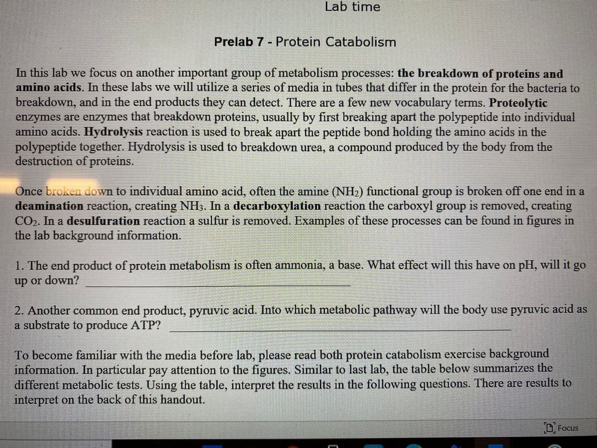 Lab time
Prelab 7 - Protein Catabolism
In this lab we focus on another important group of metabolism processes: the breakdown of proteins and
amino acids. In these labs we will utilize a series of media in tubes that differ in the protein for the bacteria to
breakdown, and in the end products they can detect. There are a few new vocabulary terms. Proteolytic
enzymes are enzymes that breakdown proteins, usually by first breaking apart the polypeptide into individual
amino acids. Hydrolysis reaction is used to break apart the peptide bond holding the amino acids in the
polypeptide together. Hydrolysis is used to breakdown urea, a compound produced by the body from the
destruction of proteins.
Once broken down to individual amino acid, often the amine (NH2) functional group is broken off one end in a
deamination reaction, creating NH3. In a decarboxylation reaction the carboxyl group is removed, creating
CO2. In a desulfuration reaction a sulfur is removed. Examples of these processes can be found in figures in
the lab background information.
1. The end product of protein metabolism is often ammonia, a base. What effect will this have on pH, will it go
up or down?
2. Another common end product, pyruvic acid. Into which metabolic pathway will the body use pyruvic acid as
a substrate to produce ATP?
To become familiar with the media before lab, please read both protein catabolism exercise background
information. In particular pay attention to the figures. Similar to last lab, the table below summarizes the
different metabolic tests. Using the table, interpret the results in the following questions. There are results to
interpret on the back of this handout.
D, Focus
