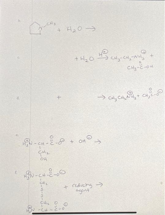 CHz
+ H20)
+ HaO
CH3-CHy-NHs +
CH-と-oH
P.
- cH-と-P + OH
CHz
-CH
CH2
+ reducing >
agent
CH2 O O
HN -CH
と-0
t.
