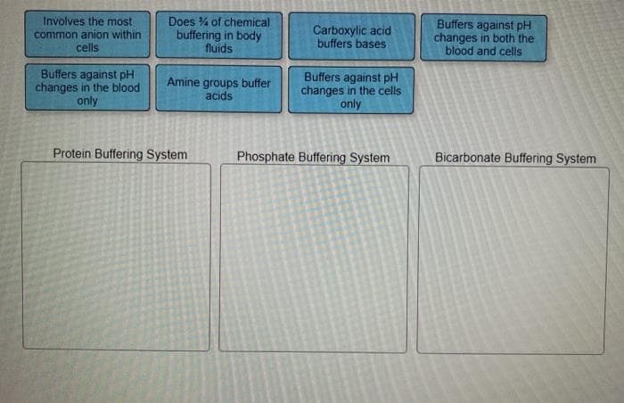 Involves the most
common anion within
cells
Does % of chemical
buffering in body
fluids
Carboxylic acid
buffers bases
Buffers against pH
changes in both the
blood and cells
Buffers against pH
changes in the blood
only
Amine groups buffer
acids
Buffers against pH
changes in the cells
only
Protein Buffering System
Phosphate Buffering System
Bicarbonate Buffering System
