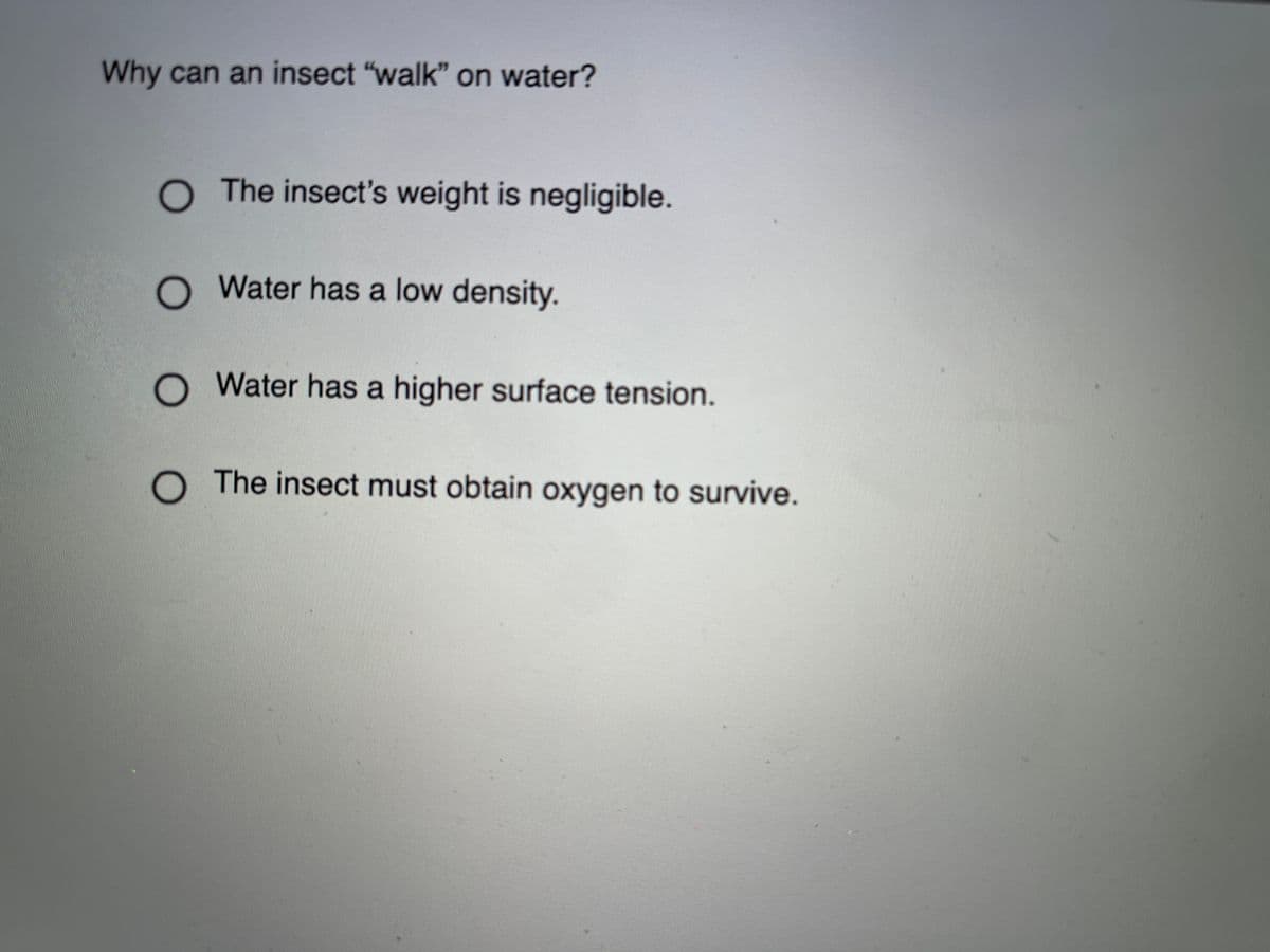 Why can an insect "walk" on water?
O The insect's weight is negligible.
Water has a low density.
O Water has a higher surface tension.
O The insect must obtain oxygen to survive.
