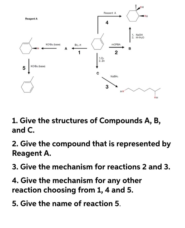 Reagent A
5
KO'Bu (base)
KO'Bu (base)
A
Bra, rt
1
Reagent A
1.0₂
2. Zn
4
3
mCPBA
2
NaBH₁
НО
B
OH
1. NaOH
2. H/H₂O
OH
OH
1. Give the structures of Compounds A, B,
and C.
2. Give the compound that is represented by
Reagent A.
3. Give the mechanism for reactions 2 and 3.
4. Give the mechanism for any other
reaction choosing from 1, 4 and 5.
5. Give the name of reaction 5.