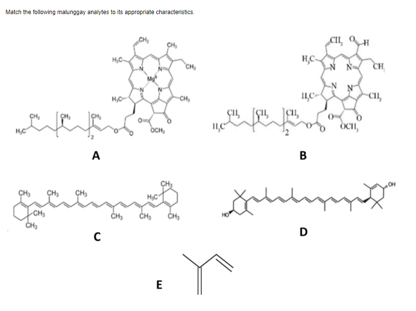 Match the following malunggay analytes to its appropriate characteristics.
CIL,
CH,
H,C-
CH
CH
H,C
-CH)
ILC-
CI,
CH,
OCH,
II,C
ÒCII,
H,C
А
В
CH3
ÇH3
ÇH3
-CH3
ČH3
D
E
