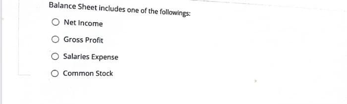 Balance Sheet includes one of the followings:
Net Income
Gross Profit
Salaries Expense
Common Stock