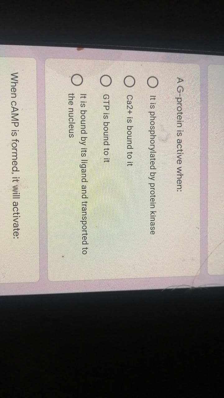 A G-protein is active when:
It is phosphorylated by protein kinase
Ca2+ is bound to it
OGTP is bound to it
It is bound by its ligand and transported to
the nucleus
When CAMP is formed, it will activate:
