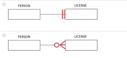 PERSON
PERSON
04
LICENSE
LICENSE