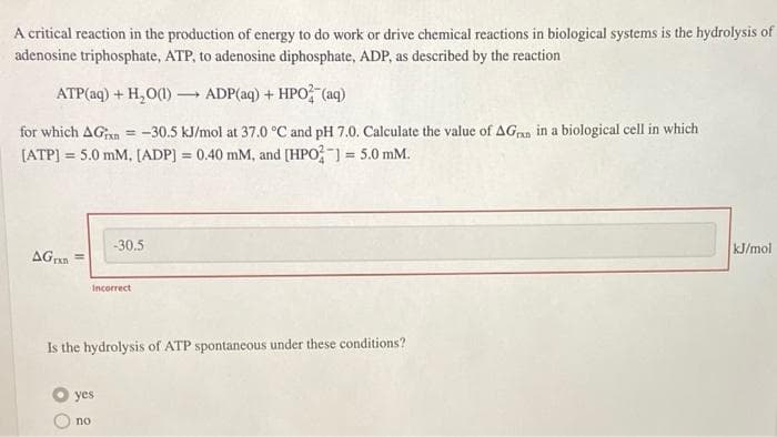 A critical reaction in the production of energy to do work or drive chemical reactions in biological systems is the hydrolysis of
adenosine triphosphate, ATP, to adenosine diphosphate, ADP, as described by the reaction
ATP(aq) + H₂O(1)→→ ADP(aq) + HPO2 (aq)
for which AGin == -30.5 kJ/mol at 37.0 °C and pH 7.0. Calculate the value of AG in a biological cell in which
[ATP] = 5.0 mM. [ADP] = 0.40 mM, and [HPO-] = 5.0 mM.
AGxn
-30.5
Incorrect
Is the hydrolysis of ATP spontaneous under these conditions?
yes
no
kJ/mol