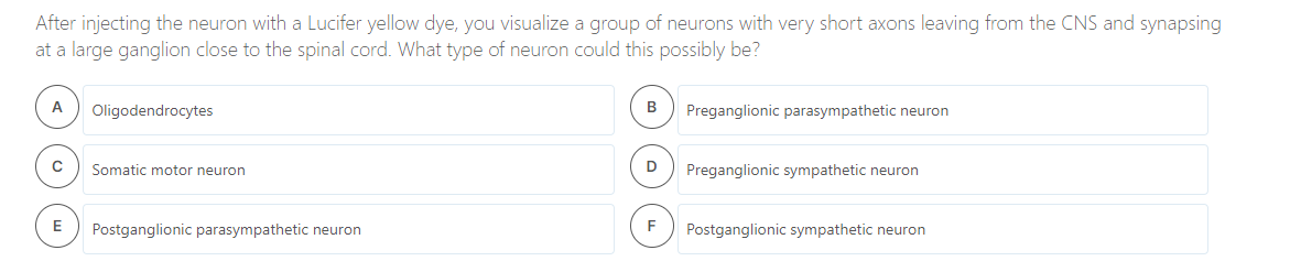 After injecting the neuron with a Lucifer yellow dye, you visualize a group of neurons with very short axons leaving from the CNS and synapsing
at a large ganglion close to the spinal cord. What type of neuron could this possibly be?
A
Oligodendrocytes
B
Preganglionic parasympathetic neuron
Somatic motor neuron
D
Preganglionic sympathetic neuron
E
Postganglionic parasympathetic neuron
F
Postganglionic sympathetic neuron
