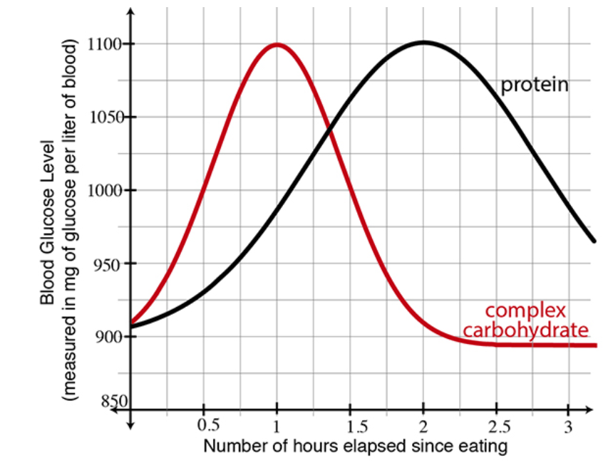 1100-
protein
1050+
1000+
950
complex
carbohydrate
900-
850
0.5
1
1.5
2.5
3
Number of hours elapsed since eating
Blood Glucose Level
(measured in mg of glucose per liter of blood)
