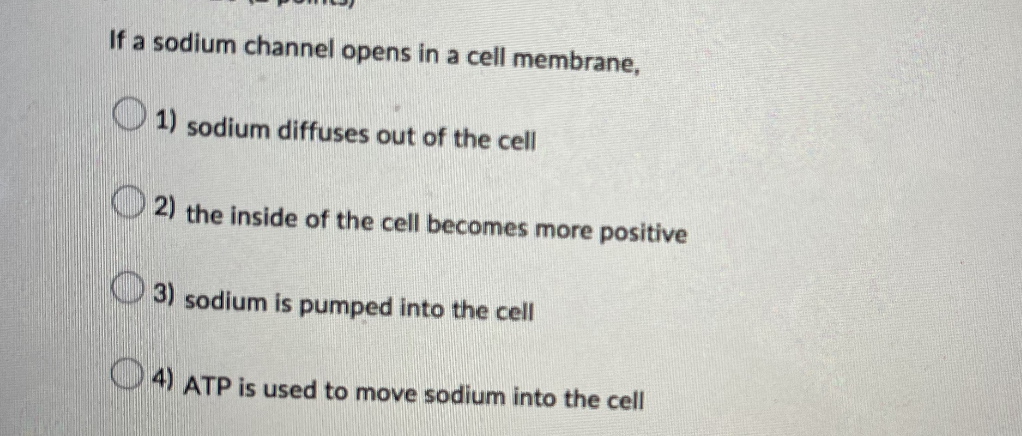 **Multiple Choice Question (3 points)**

**Question:**
If a sodium channel opens in a cell membrane,

1. ☐ sodium diffuses out of the cell
2. ☐ the inside of the cell becomes more positive
3. ☐ sodium is pumped into the cell
4. ☐ ATP is used to move sodium into the cell