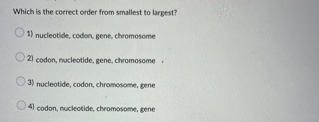 Which is the correct order from smallest to largest?
1) nucleotide, codon, gene, chromosome
2) codon, nucleotide, gene, chromosome
"
3) nucleotide, codon, chromosome, gene
4) codon, nucleotide, chromosome, gene