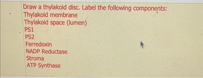 Draw a thylakoid disc. Label the following components:
Thylakoid membrane
Thylakoid space (lumen)
PS1
PS2
Ferredoxin
NADP Reductase
Stroma
ATP Synthase