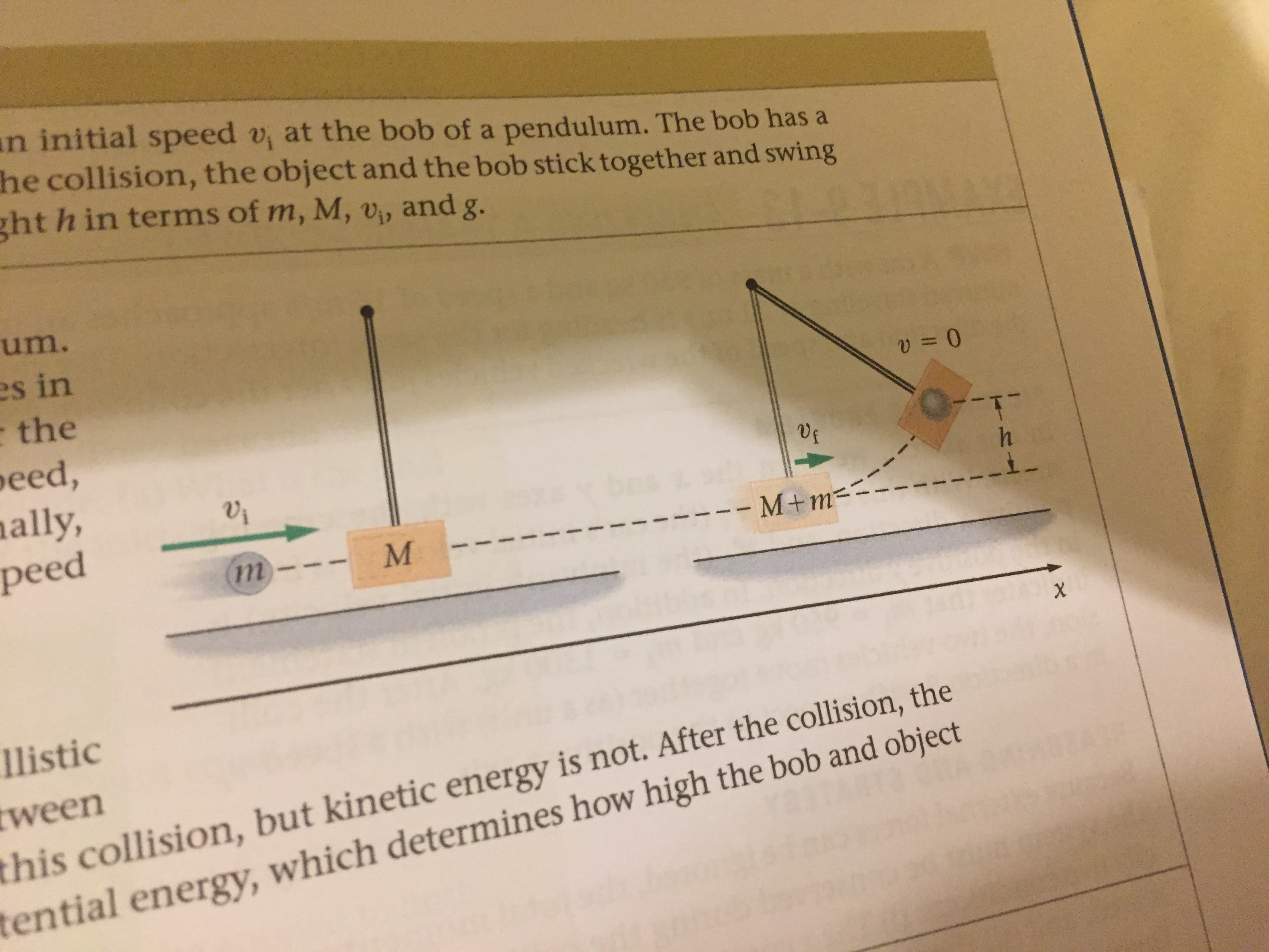 an initial speed v, at the bob of a pendulum. The bob has a
he collision, the object and the bob stick together and swing
ght h in terms of m, M, v, and g.
um.
es in
the
peed,
nally,
peed
la
-M+m-
м
1listic
tween
this collision, but kinetic energy is not. After the collision, the
tential energy, which determines how high the bob and object
