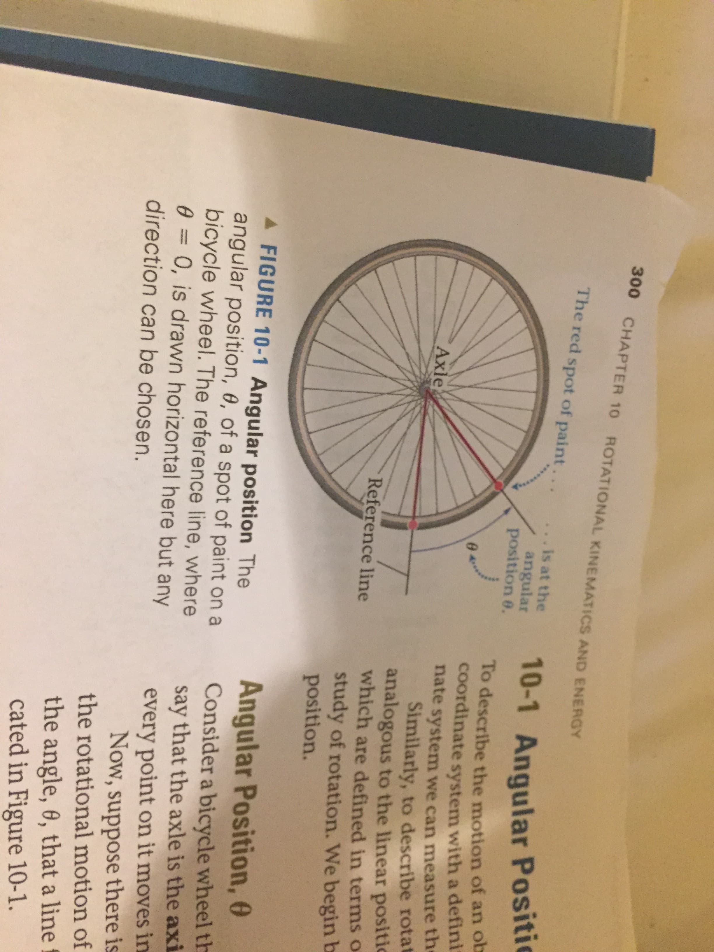 300 CHAPTER 10 ROTATIONAL KINEMATICS AND ENERGY
The red spot of paint...
is at the
angular
position 6.
10-1 Angular Positic
To describe the motion of an ot
Coordinate system with a defini
nate system we can measure the
Similarly, to describe rotat
analogous to the linear positic
which are defined in terms o
Axle
Reference line
study of rotation. We begin b
position.
A FIGURE 10-1 Angular position The
angular position, 0, of a spot of paint on a
bicycle wheel. The reference line, where
0 = 0, is drawn horizontal here but any
Angular Position, 0
Consider a bicycle wheel th
say that the axle is the axi.
every point on it moves in
Now, suppose there is
the rotational motion of
direction can be chosen.
the angle, 0, that a line
cated in Figure 10-1.
