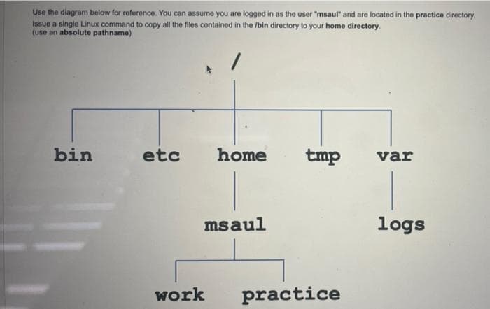 Use the diagram below for reforence. You can assume you are logged in as the user "msaul" and are located in the practice directory.
Issue a single Linux command to copy all the files contained in the /bin directory to your home directory.
(use an absolute pathname)
bin
etc
home
tmp
var
msaul
logs
work
practice
