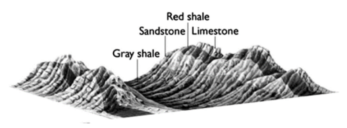 Red shale
Sandstone Limestone
Gray shale
