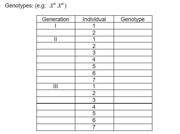 Genotypes: (e.g: X* X")
Generation
Individual
Genotype
1
2
II
1
2
4
7
II
1
2
4
7
