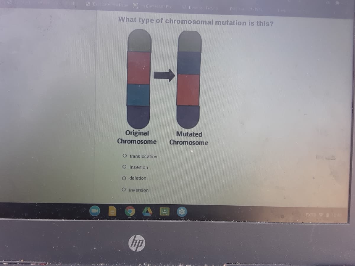 3 Ee -F El El-
PI E
What type of chromosomal mutation is this?
Original
Mutated
Chromosome
Chromosome
O translocati on
O insertion
O deletion
O inversion
EXTD 12 40
