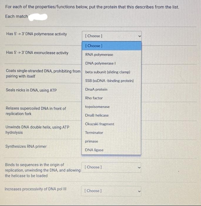 For each of the properties/functions below, put the protein that this describes from the list.
Each match
Has 5' 3' DNA polymerase activity
[Choose ]
[Choose]
RNA polymerase
DNA polymerase I
Coats single-stranded DNA, prohibiting from beta subunit (sliding clamp)
pairing with itself
SSB (ssDNA-binding protein)
DnaA protein
Rho factor
topoisomerase
Has 5' 3' DNA exonuclease activity
Seals nicks in DNA, using ATP
Relaxes supercoiled DNA in front of
replication fork
Unwinds DNA double helix, using ATP
hydrolysis
Synthesizes RNA primer
Binds to sequences in the origin of
replication, unwinding the DNA, and allowing
the helicase to be loaded
Increases processivity of DNA pol III
DnaB helicase
Okazaki fragment
Terminator
primase
DNA ligase
[Choose ]
[Choose]