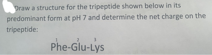 Draw a structure for the tripeptide shown below in its
predominant form at pH 7 and determine the net charge on the
tripeptide:
2 3
Phe-Glu-Lys