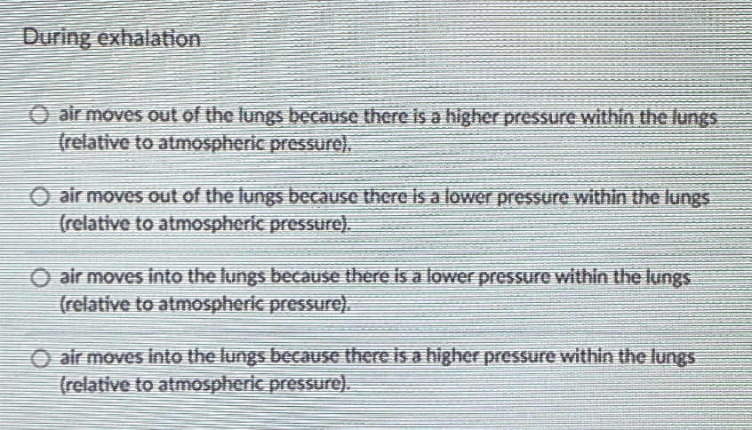 During exhalation
O air moves out of the lungs because there is a higher pressure within the lungs
(relative to atmospheric pressure).
O air moves out of the lungs because there is a lower pressure within the lungs
(relative to atmospheric pressure).
O air moves into the lungs because there is a lovwer pressure within the lungs
(relative to atmospheric pressure).
O alr moves into the lungs because there is a higher pressure within the lungs
(relative to atmospheric pressure).
