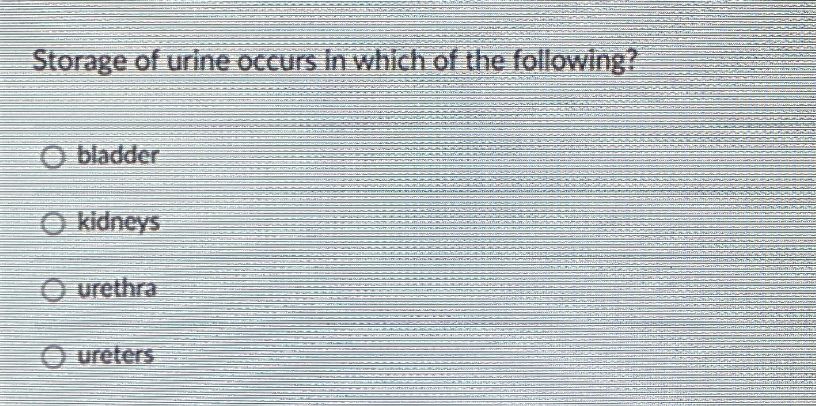 Storage of urine occurs in which of the following?
O bladder
O kidneys
O urethra
O ureters
