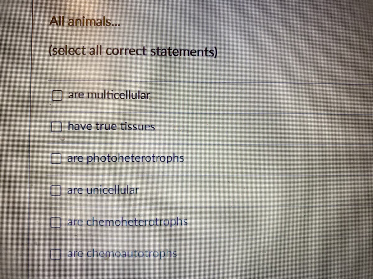 All animals...
(select all correct statements)
are multicellular
have true tissues
are photoheterotrophs
are unicellular
are chemoheterotrophs
are chemoautotrophs
