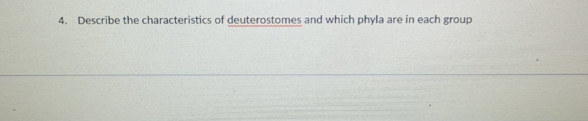 4. Describe the characteristics of deuterostomes and which phyla are in each group
