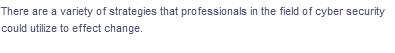There are a variety of strategies that professionals in the field of cyber security
could utilize to effect change.
