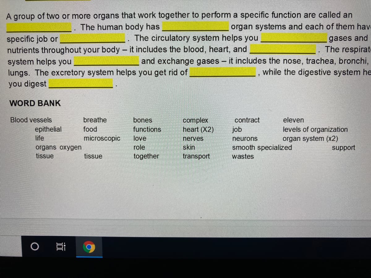 A group of two or more organs that work together to perform a specific function are called an
organ systems and each of them have
The human body has
The circulatory system helps you
specific job or
nutrients throughout your body - it includes the blood, heart, and
system helps you
lungs. The excretory system helps you get rid of,
you digest
gases and
The respirat
and exchange gases - it includes the nose, trachea, bronchi,
while the digestive system he
WORD BANK
Blood vessels
breathe
bones
complex
heart (X2)
contract
eleven
levels of organization
organ system (x2)
support
epithelial
food
functions
job
life
microscopic
love
nerves
neurons
role
skin
smooth specialized
organs oxygen
tissue
tissue
together
transport
wastes
近
