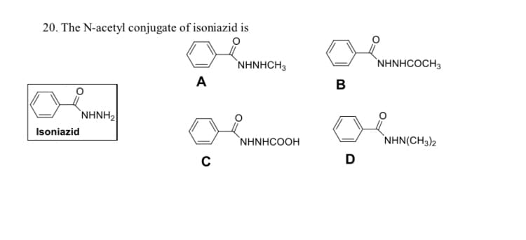 20. The N-acetyl conjugate of isoniazid is
`NHNHCH3
NHNHCOCH3
A
B
`NHNH2
Isoniazid
NHNHCOOH
NΗΝ (CH3),
D
