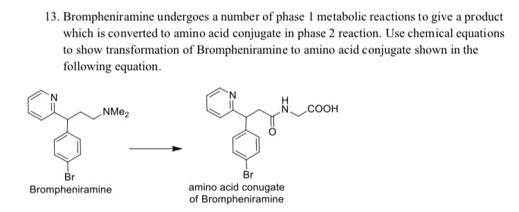 13. Brompheniramine undergoes a number of phase 1 metabolic reactions to give a product
which is converted to amino acid conjugate in phase 2 reaction. Use chemical equations
to show transformation of Brompheniramine to amino acid conjugate shown in the
following equation.
N.
СООН
Br
Brompheniramine
Br
amino acid conugate
of Brompheniramine
